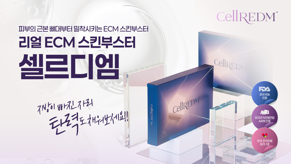 셀르디엠 런칭